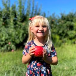 A Guide to Apple Picking in Bucks County (and Nearby)