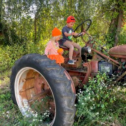 Weekday Fall Activities to Do with Kids