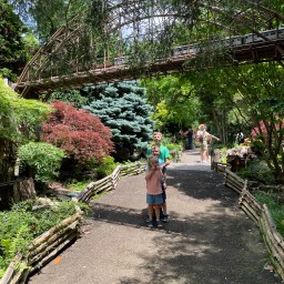 Natural Summer Beauty at Morris Arboretum (Plus a Free Printable Scavenger Hunt)