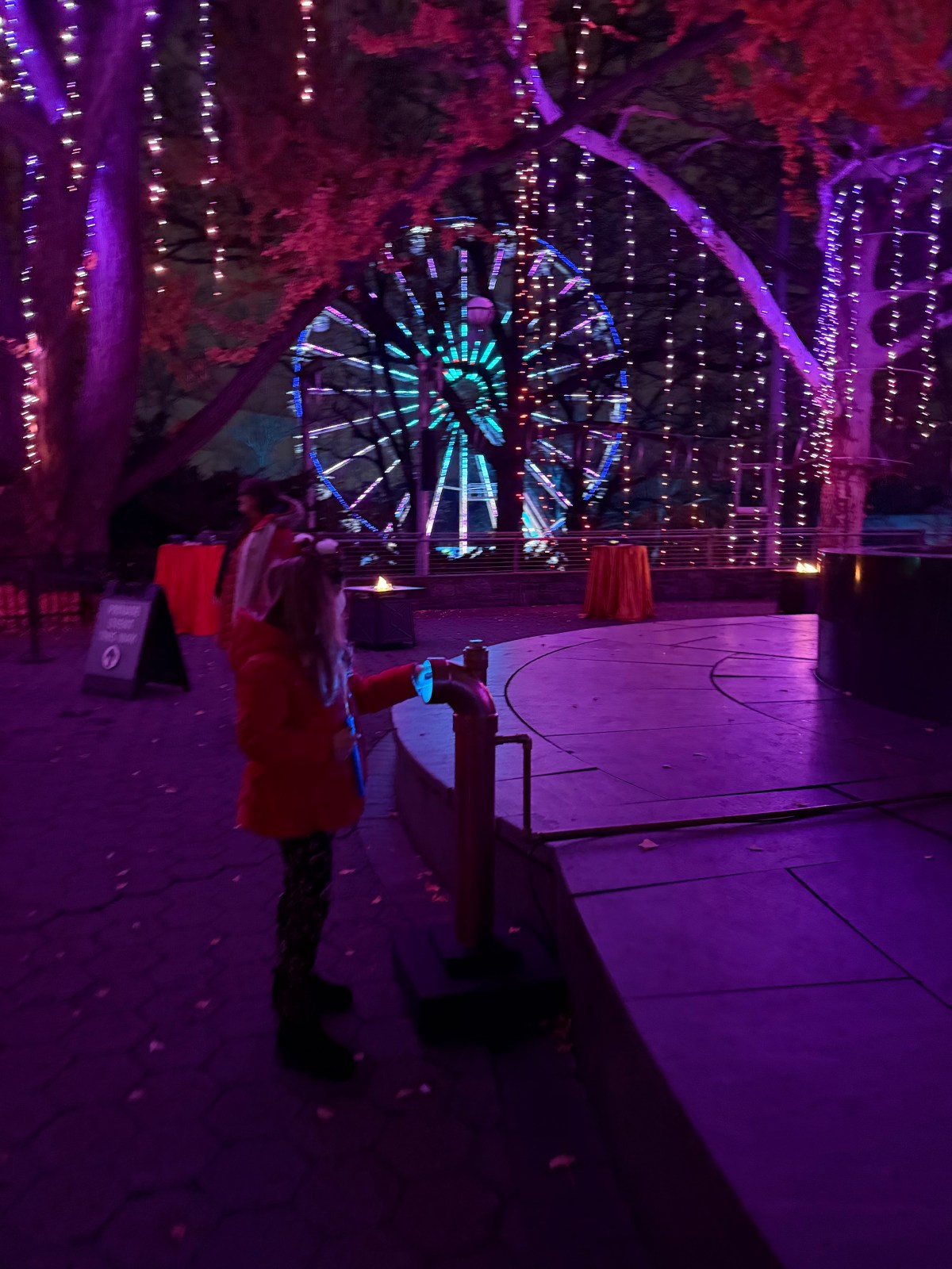 20+ Things to Do Over Winter Break